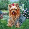 Yorkie In The Garden 40 x 40 picture size