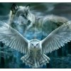 Wolf Owl (50 x 54 actual picture size)