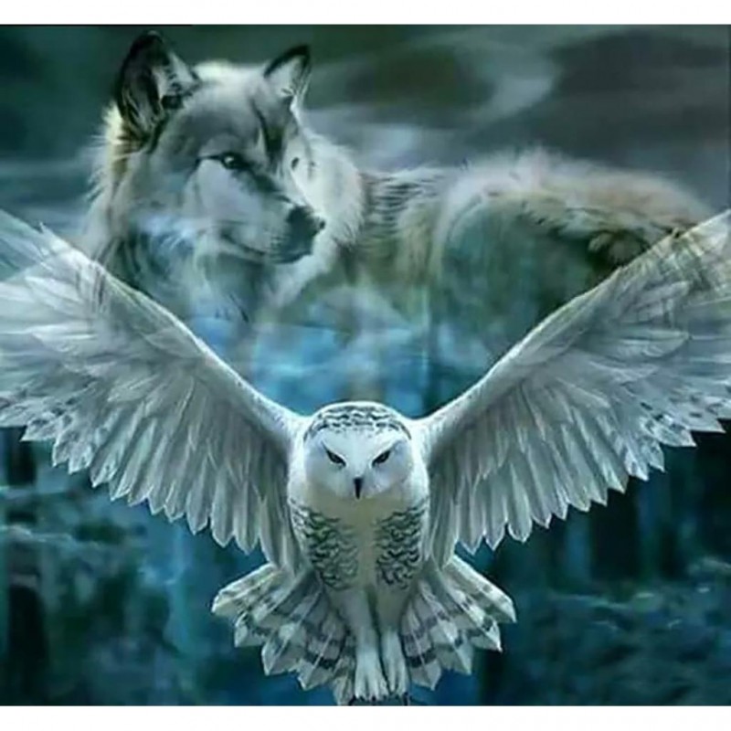 Wolf Owl (50 x 54 ac...