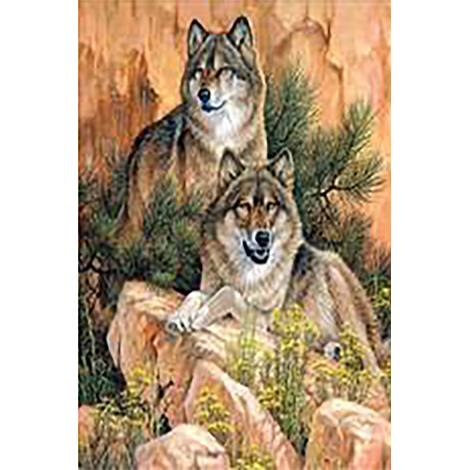 Wolf Land (40 x 60 actual picture size)