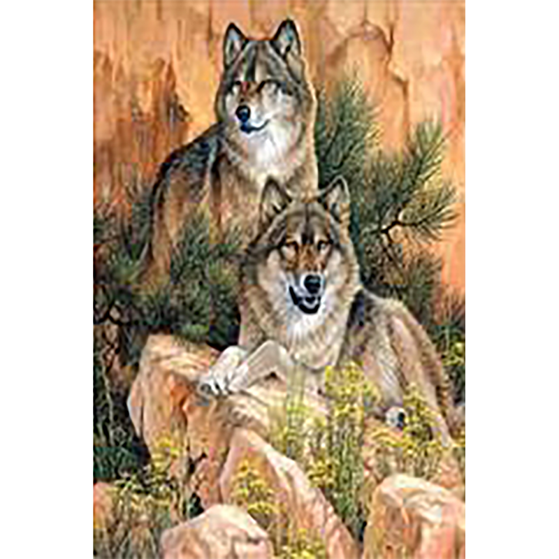 Wolf Land (40 x 60 a...