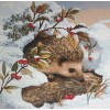 Winter Hedgehog (50 x 50)