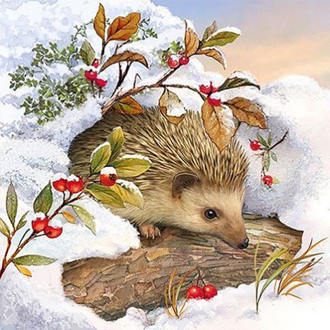 Winter Hedgehog (50 x 50)