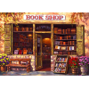 The Old Bookshop (50 x 70 actual picture size)