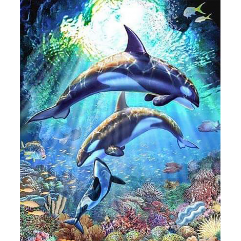 Sea World (50 x 60 actual picture size)