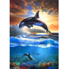 Sea Life (50 x 70 actual picture size)