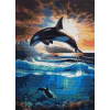 Sea Life (50 x 70 actual picture size)