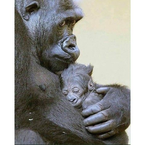 Mother And Baby (40 x 50)