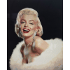 Marilyn 1 (40 x 50 actual picture size)