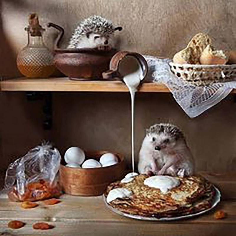 Making A Mess (50 x ...