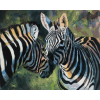 Loving Zebras (40 x 50 actual picture size)