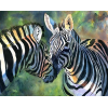 Loving Zebras (40 x 50 actual picture size)