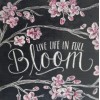 Live Life In Bloom (50 x 50)