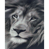 Lion Head (40 x 50 actual picture size)
