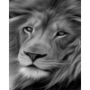Lion Head (40 x 50 actual picture size)