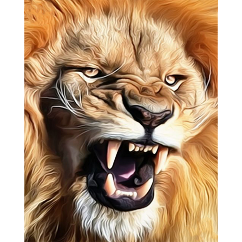 Lion Face (40 x 50)