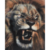 Lion Face (40 x 50 actual picture size)
