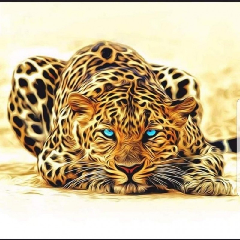 Leopard 3 (50 x 50 p...