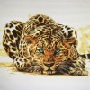 Leopard 3 (50 x 50 picture size)