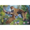 Leopards In The Lake 60 x 40 picture size