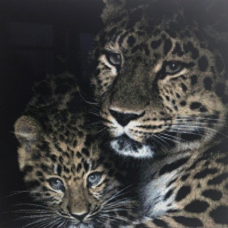 Leopards (50 x 50 actual picture size)