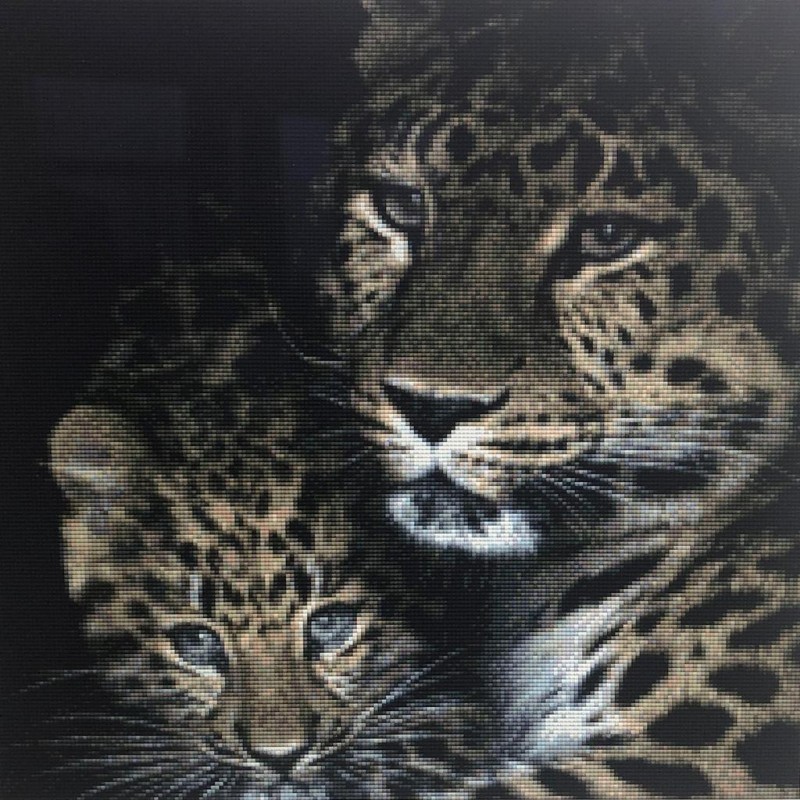 Leopards (50 x 50 ac...