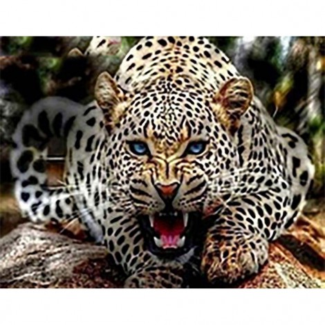 Leopard 2 (51 x 40 picture size)