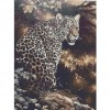 Leopard (40 x 53) picture size