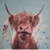 Highland Cow 9 (50 x 50 actual picture size)