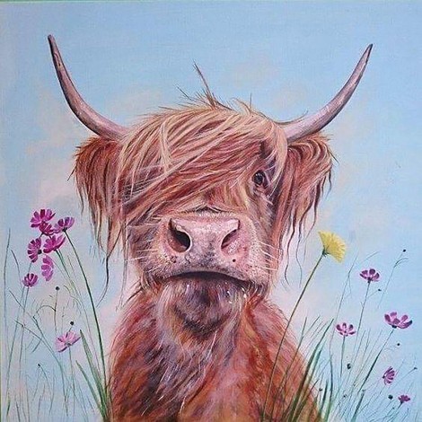 Highland Cow 9 (50 x 50 actual picture size)