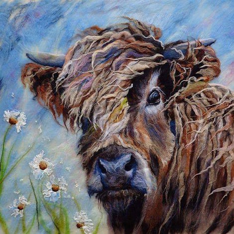 Highland Cow 7 (50 x 50 actual picture size)