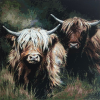 Highland Cow 12 (50 x 50 actual picture size)