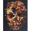 Golden Scull (40 x 50)