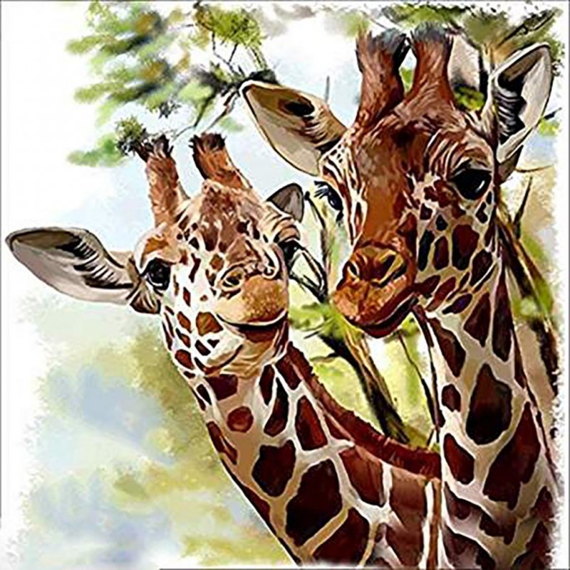 Giraffe Life (50 x 5...