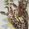 Giraffe Life (50 x 50 actual picture size)