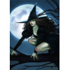 Black Witch (50 x 70 actual picture size)