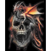 Orange Dragon Scull (40 x 50)
