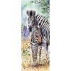 Zebras (20 x 50 actual picture size)