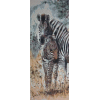 Zebras (20 x 50 actual picture size)