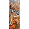 Stag (20 x 50 actual picture size)