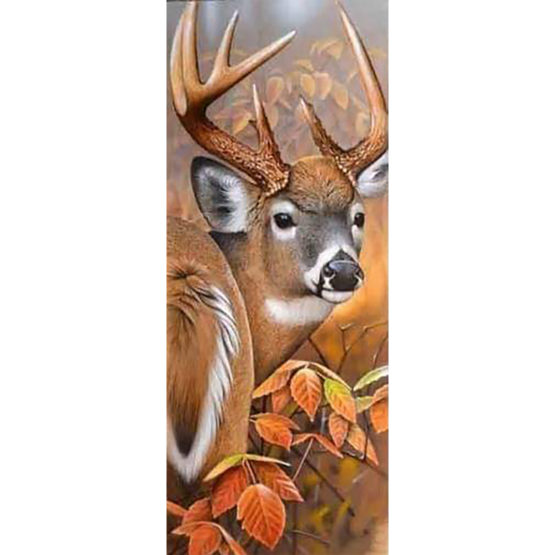 Stag (20 x 50 actual...