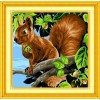 Squirrel (30 x 30)