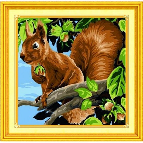Squirrel (30 x 30)
