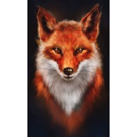 Mr Fox (30 x 50 actual pi...