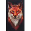 Mr Fox (30 x 50 actual picture size)