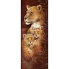 Lion Cub 3 (20 x 50 actual picture size)