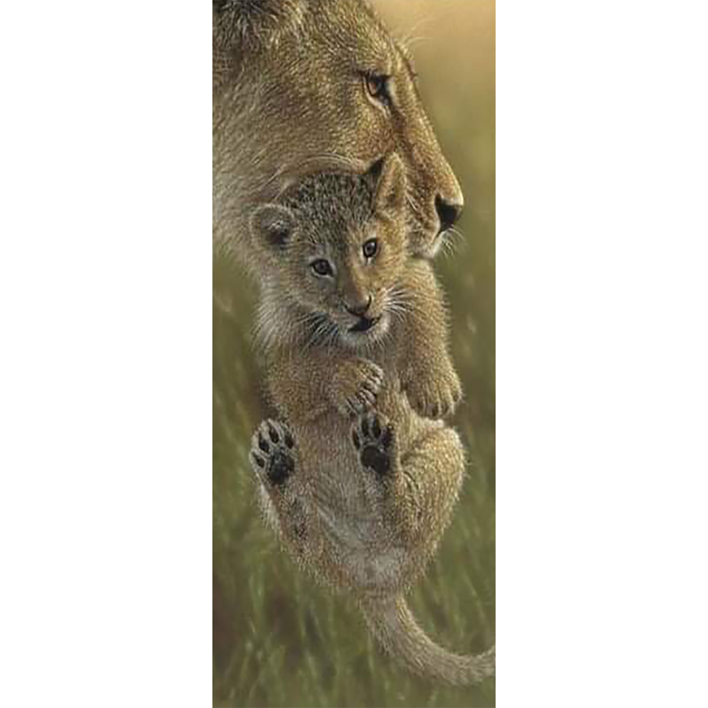 Lion Cub (20 x 50 ac...