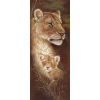 Lion Cub 2 (20 x 50 actual picture size)