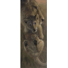 Lion Cub 2 (20 x 50 actual picture size)