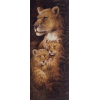 Lion Cub 3 (20 x 50 actual picture size)
